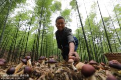 澳门太阳城赌场_澳门太阳城网址_澳门太阳城网站_贵州省赤水市积极调整农业产